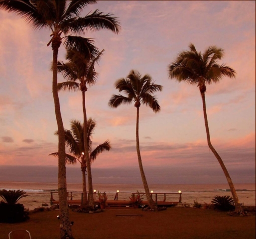 Palm trees and lagoon